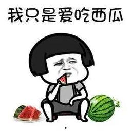 娱乐圈吃瓜用语,揭秘明星们的“瓜田”秘闻